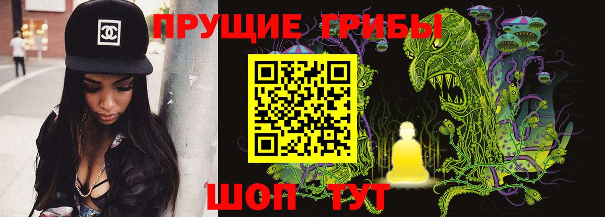Щёлково  Галлюциногенные грибы Psilocybine cubensis  Вход с VPN 