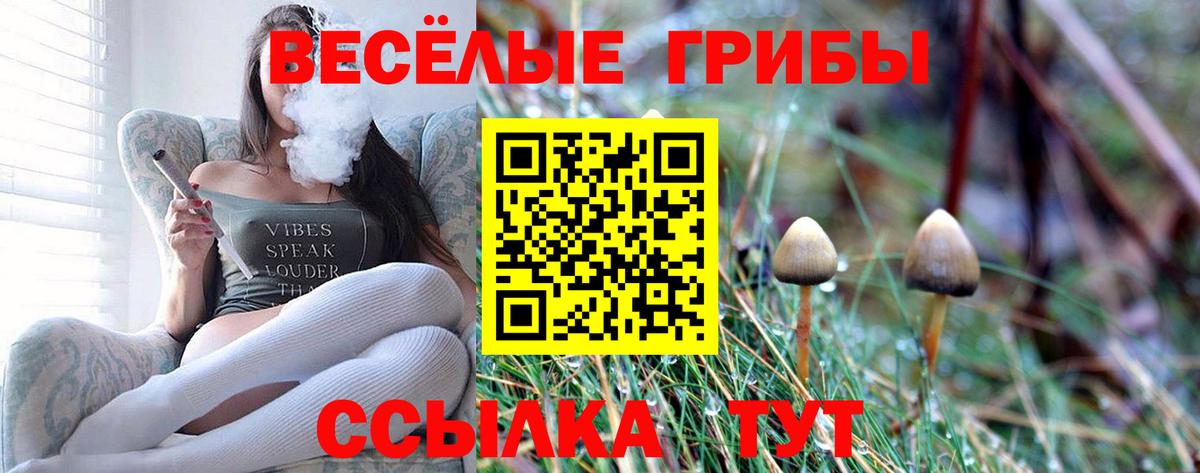Псилоцибиновые грибы Magic Shrooms Щёлково
